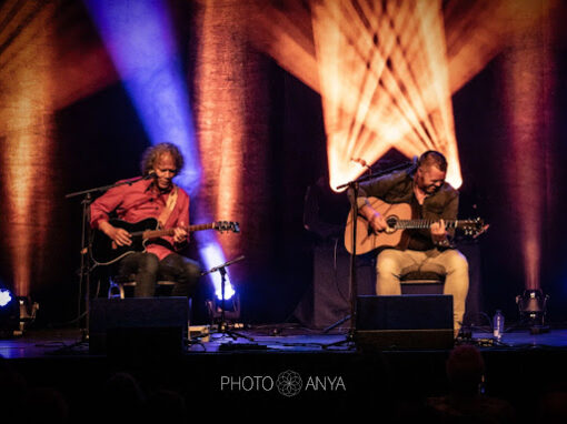 Erwin Java & Sean Webster